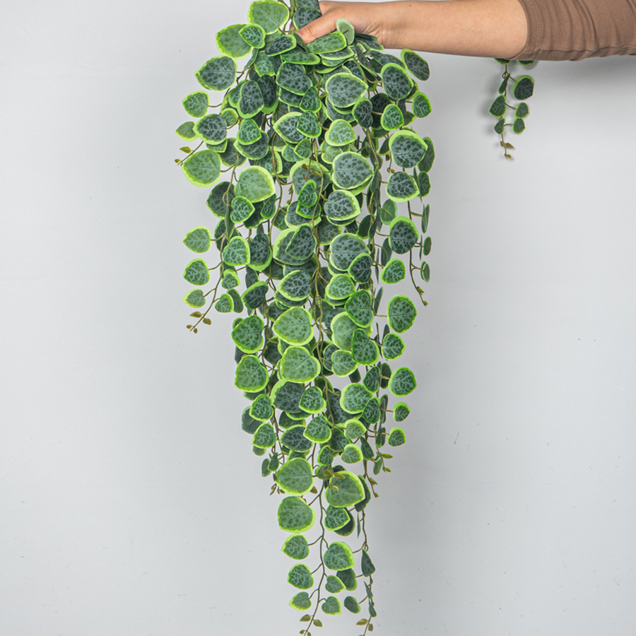 Rattan Plant Basket - Vignes artificielles suspendues 60-80cm, plantes d'eucalyptus