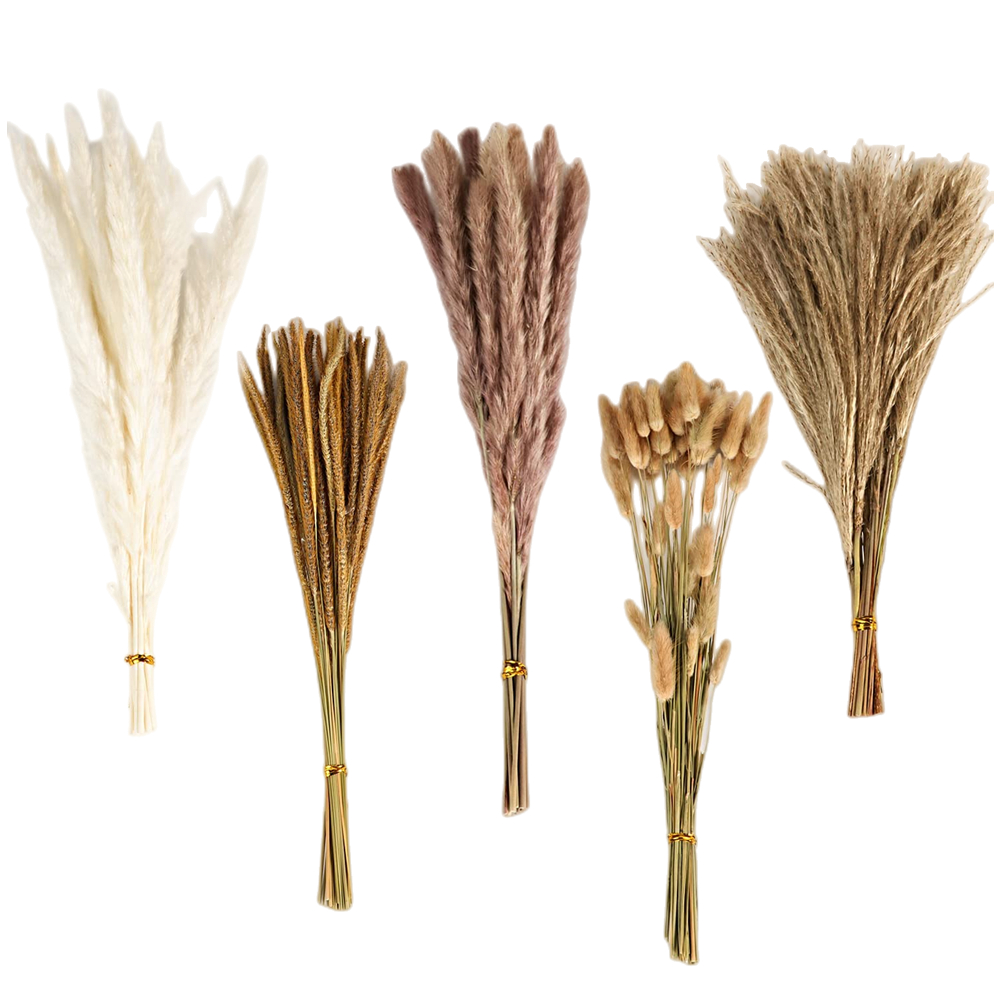 Pampas Grass Decor - Bouquet de fleurs séchées mélangées vintage