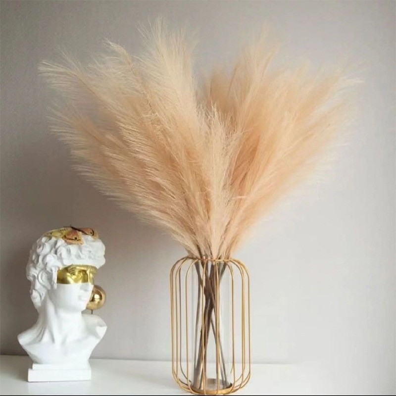 Pampas Grass Decor - Branches de Pompass Artificielles, Fausses Tiges