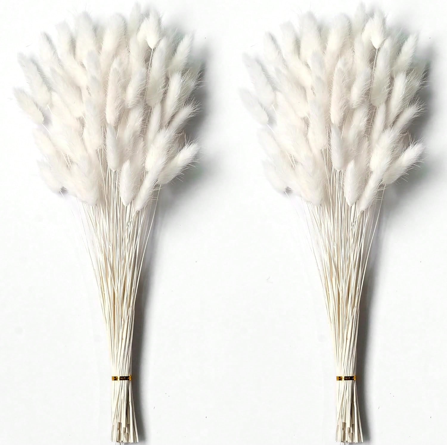 Pampas Grass Decor - 120 pièces d'herbe de Pampa séchée