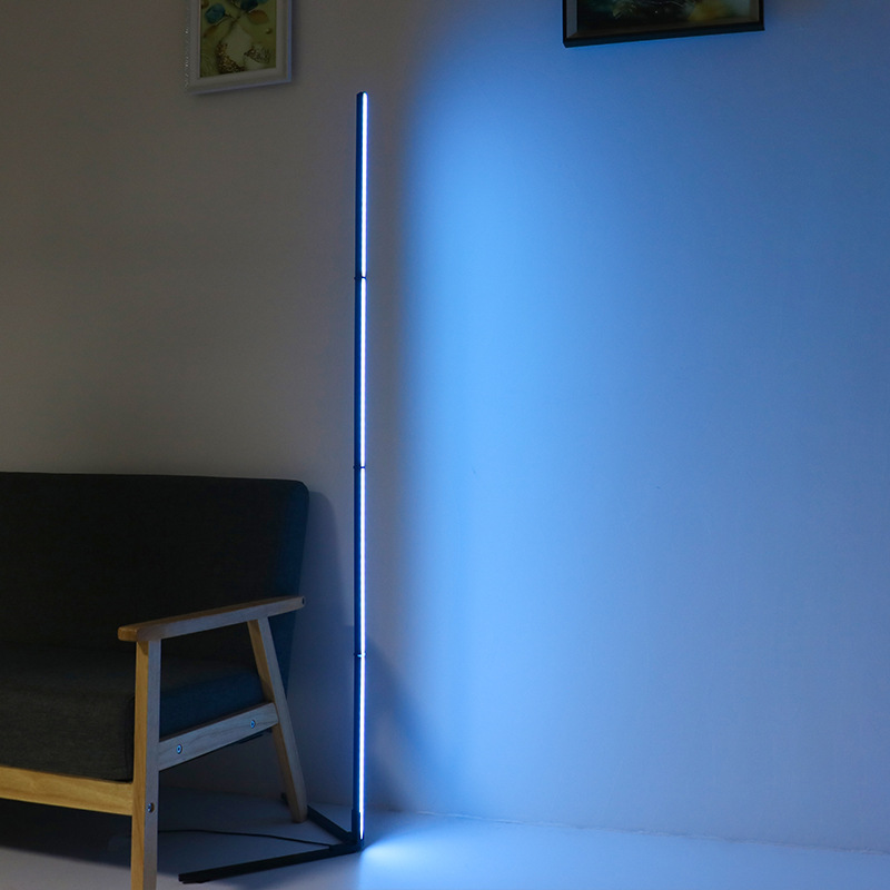 Lampe sur pied LED RGBIC Tuya  - Home Decor Free App avis et prix