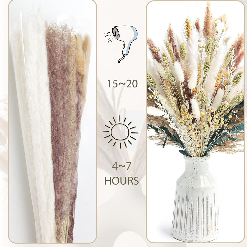 Bouquet d'herbe de Pampa séché - Pampas Grass Decor avis et prix