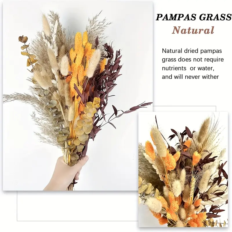 Combinaison de décoration de r - Pampas Grass Decor avis et prix
